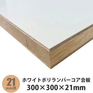 zCg|o[RA@300×300×21mm@1