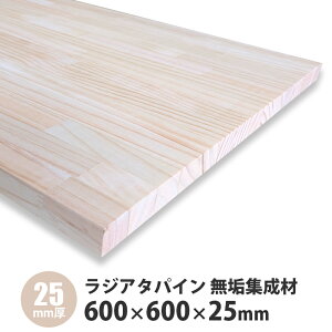 WA^pCW 600×600×25mm 1