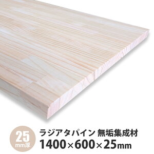 WA^pCW 1400×600×25mm 1