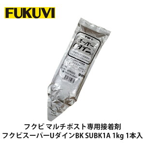 tNry}`|Xgpڒ܁@tNrX[p[U_CBK@1t^E^n@SUBK1A@1kgz1