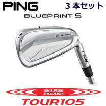 楽天市場】ピン アイアン レフティの通販
