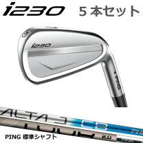 楽天市場】ピン i210 アイアンの通販