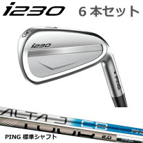 楽天市場】ピン i210 アイアンの通販