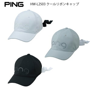 PING sSt HW-L2503 N[{Lbv fB[X Lbv StLbv wbhEFA Xq nbg StEFA y{Kiz ObY