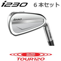 楽天市場】ping i210 uwの通販