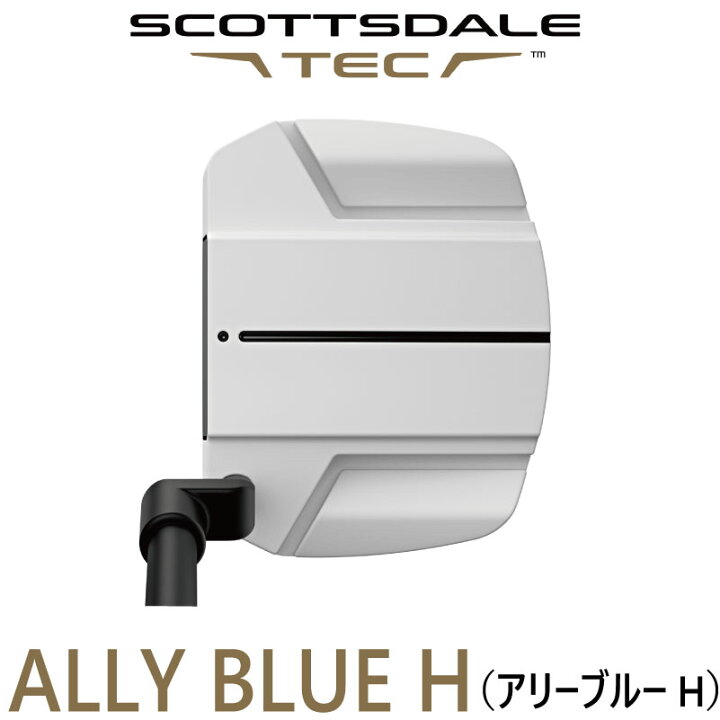 楽天市場】ピン ゴルフ スコッツデール テックパター アリーブルーH 
