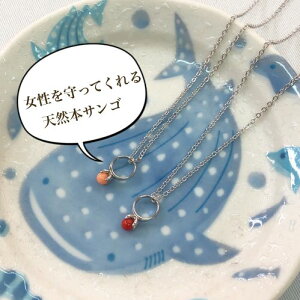 Zxr[OԃTSZVo[Zv`lbNXZ