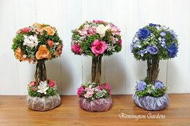 楽天市場 ポプリ 花の通販