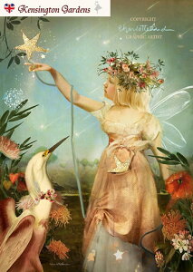 天使 妖精 絵画 「流れ星を捕まえて」グリーティング メッセージ カード フェアリー エンジェル ファンタジー フォトグラフ アート ヴィクトリア調 ヴィクトリアン調 ビクトリアン調 ビ