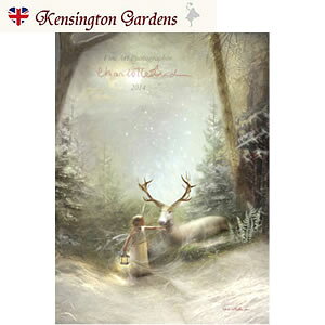 tHM[ NX}X C O[eBO J[h V[bgo[h VgG dG pG݁@G tFA[ GWF tHgOt A[g BNgA Charlotte Bird CMX UK 