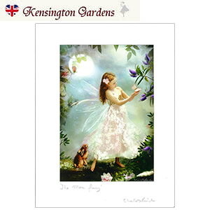 天使 妖精 絵画 ムーン フェアリー フォトグラフ フェアリー エンジェル アート インテリア ヴィクトリア Charlotte Bird シャーロットバード イギリス 英国雑貨