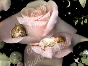 天使 妖精 絵画 ア クワイエット コーナー (静かな片すみ)グリーティング メッセージ カード フェアリー エンジェル フォトグラフ アート ヴィクトリア Charlotte Bird シャーロットバード イ