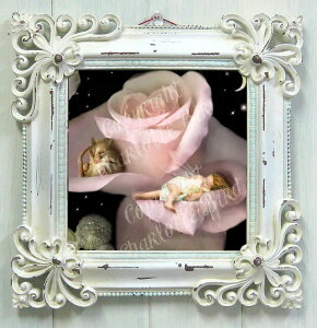 Vg d G A NCGbg R[i[ iÂȕЂ݁j Be[WzCgt[S tFA[ y  z V[bg o[h d̎ʐ^ CeA tFA[ GWF