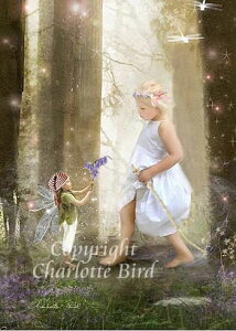 Vg d G `XGJE^[iȐoj O[eBO bZ[W J[h tFA[ GWF tHgOt A[g BNgA Charlotte Bird V[bgo[h CM