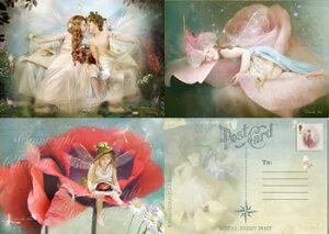 |XgJ[h3Zbg Vg d G bZ[W J[h tFA[ GWF tHgOt A[g Charlotte Bird V[bgo[h CMX p @y[OKz