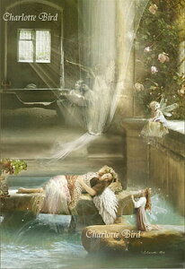 z[ Iu GWF O[eBO  J[h V[bgo[h dʐ^Ɓ@VgG dG dG tFA[ GWF tHgOt A[g Charlotte Bird CMX p@