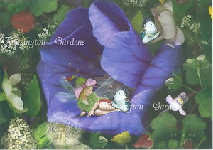 T}[K[f O[eBO  J[h V[bgo[h dʐ^Ɓ@VgG dG dG tFA[ GWF tHgOt A[g Charlotte Bird CMX p@pG