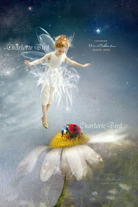 Vg d G [ CN ~[ X}C O[eBO bZ[W J[h tFA[ GWF tHgOt A[g BNgA Charlotte Bird V[bgo[h CMX p b