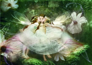 Vg d G U tFA[ {E[ id̋xj O[eBO bZ[W J[h tFA[ GWF tHgOt A[g BNgA Charlotte Bird V[bgo[h CM