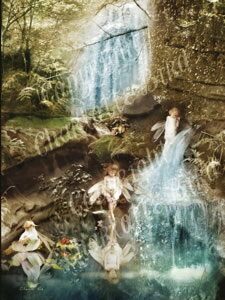 [jO O[eBO J[h V[bgo[h bZ[WJ[h VgG dG G tFA[ GWF tHgOt A[g Charlotte Bird CMX pG