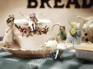 Vg d G ^C tH[ eB[ ieB[^Cj O[eBO bZ[W J[h tFA[ GWF tHgOt A[g BNgA Charlotte Bird V[bgo[h CM