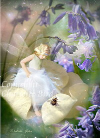 天使 妖精 絵画 ソング オブ ブルーベルズ（ブルーベルの詩） グリーティング メッセージ カード フェアリー エンジェル フォトグラフ アート ヴィクトリア Charlotte Bird シャーロットバード イギリス 英国 メッセージカード