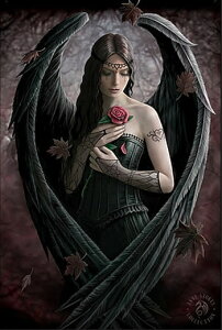 3dA[gvg |XgJ[h ͂ nKL SVbN t@^W[Ɖp@}eBbN VgG GWF CMX pG [Y GWF yA Xg[NXz Anne Stokes