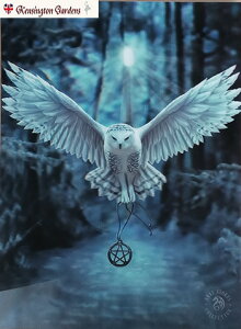 u@NāIv3d A[gvg t@^W[Ɖp CeA Ǌ| G }eBbN ӂ낤O[Y Mtg tNE CMX pG yA Xg[NXz Anne Stokes