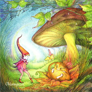 Gtƃ}ly[QCU[z O[eBO J[h T[ A o[gMoongazer Cards@Sally Anne Lambert@CMX pG bZ[WJ[h