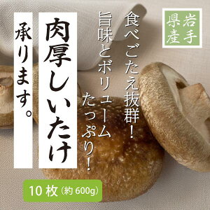 yz y\̔z 茧Y  10 (kCEBEE) 