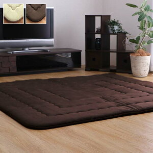 YŖ40mmgp }CNt@Co[n ӂ~ wtB[F~x 190×290cm ykCEE ʁz