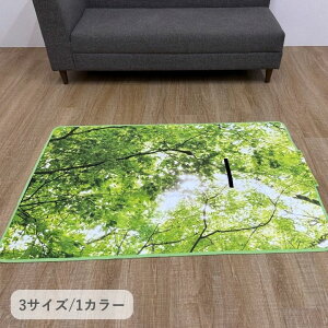 �G�� �t�H���X�g�J�o�[ 50×105cm �y�k�C���E����E���� �����ʁz