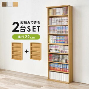 �u�b�N���b�N 2��g �{�I �J���[�{�b�N�X RCC-1515 (��)��60×���s22×����90cm/1�� �y�k�C���E����E���� �����ʁz