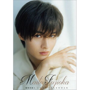 y݁zy񏤕iz 2026NJ_[ ^Аl26CL-0330[11/8]