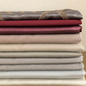 ͂ XCXAn 10  kenso80400320 yE ʁz