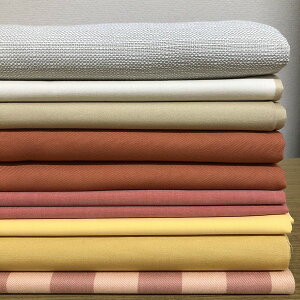 ͂ XCXAn 10  kenso80400340 yE ʁz