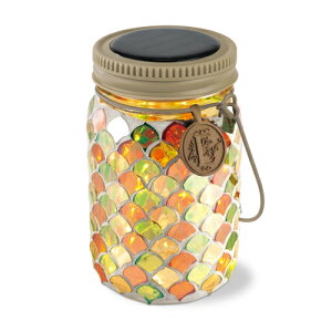 yz \[[K[fCg(S) Gg Citrus NutЃLV}