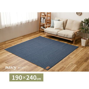 O J[ybg lCr[@190×240cm XEFbgLgO@RR@@ ykCEE ʁz