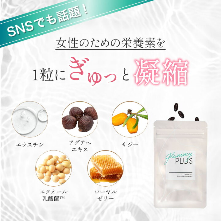 楽天市場】【正規品】グラミープラス Glammy Plus 内容量13.7g（455mg 
