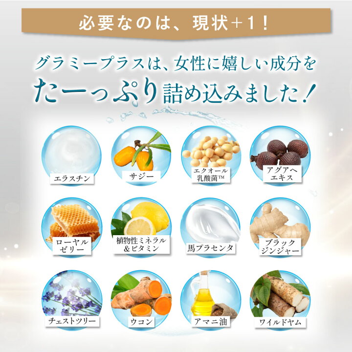 楽天市場】【正規品】グラミープラス Glammy Plus 内容量13.7g（455mg 