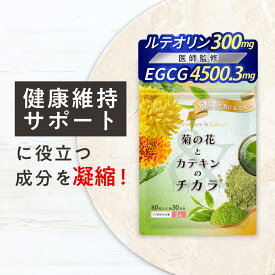 【医師監修】【減活シリーズ】★健康診断で気になる数値をサポート★菊の花とカテキンのチカラ 菊の花 ルテオリン EGCG カテキン ポリフェノール 茶花乾燥エキス 黒コショウ抽出物 バイオペリン サプリメント 尿酸値 体重 賞味期限