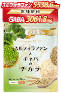 XtHt@ƃMõ`J 160(1) ̑PA PA HT|[g