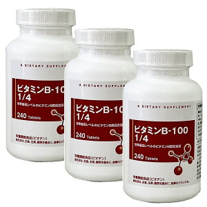 �g��B100 1/4 �X�v���b�g�i�r�^�~��B100 1/4�j240�� tri-b �_�O���X���{���g���[�Y PB���i