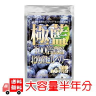 北欧産ビルベリー 【大容量半年分】 100倍濃縮 送料無料 高濃縮ブルーベリー サプリのお徳用パック！