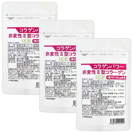 非変性2型コラーゲン UC-II コラゲンパワー 90日分 お得セット II型コラーゲン サプリ MSM コンドロイチン配合 二型コラーゲン コラパワー 送料無料