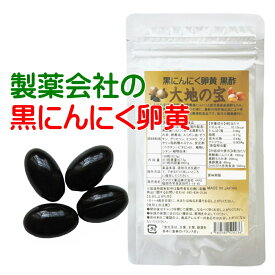 黒 にんにく卵黄 黒酢 すっぽん お試し価格 大地の宝 120粒 黒酢にんにく 黒にんにく 黒酢もろみ 青森県産 熟成 にんにく卵黄 スッポン ニンニク サプリ