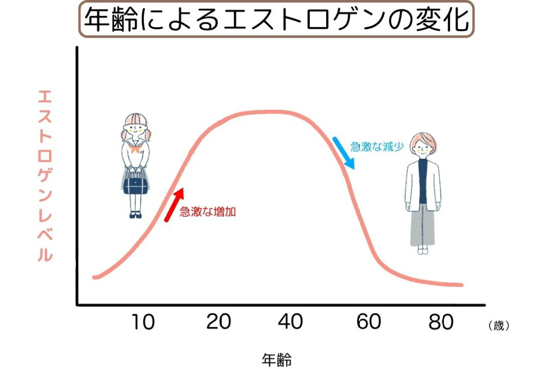 男性の女性ホルモンの摂取法 楽天市場 | サプリの国産良品本舗 - エストロゲンとは？エストロゲンの役割と効果