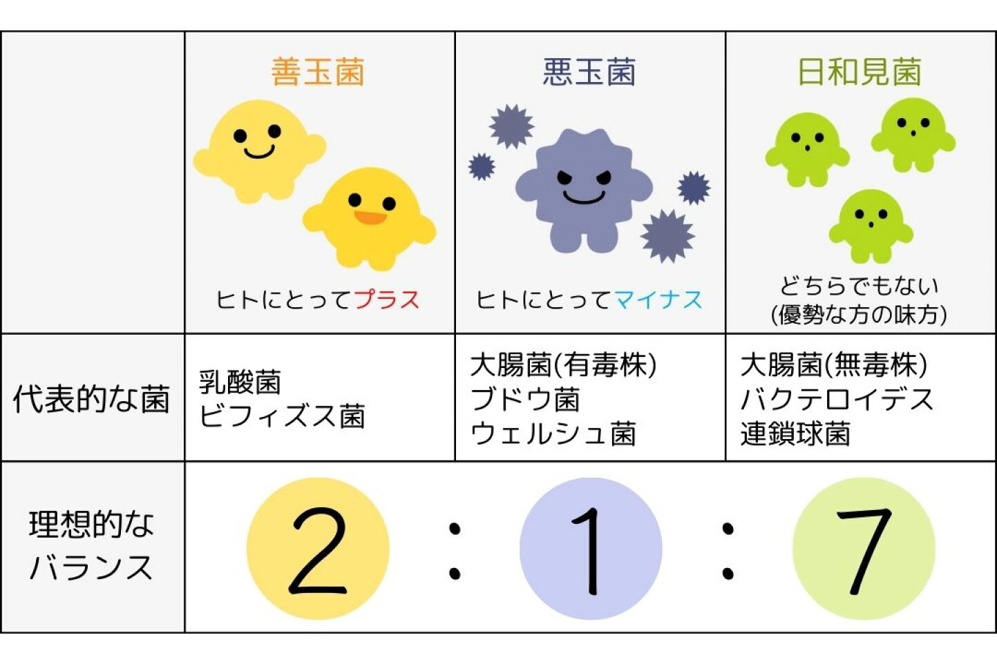 ビフィズス 菌 と は