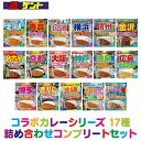 【 るるぶ × HACHI 】コラボカレー シリーズ 17種 詰め合わせ コンプリート セット 【 17個入 】 レトルト カレー 食…