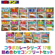 【 るるぶ × HACHI 】コラボカレー シリーズ 17種 詰め合わせ カレー コンプリート セット 【 17個入 】…